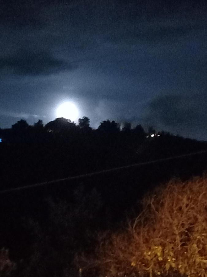 Chales Encantos De Cunha Azul エクステリア 写真